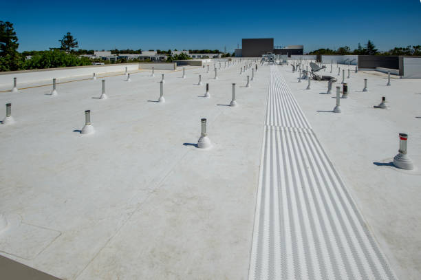 Best Metal Roofing Installation  in La Junta, CO